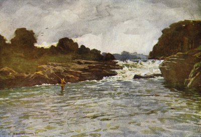 Kathleens Falls, Ballyshannon tekijältä Alfred Heaton Cooper