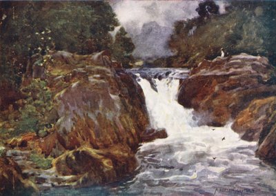 Lake District: Skelwith Force, Langdale (värilitro). tekijältä Alfred Heaton Cooper