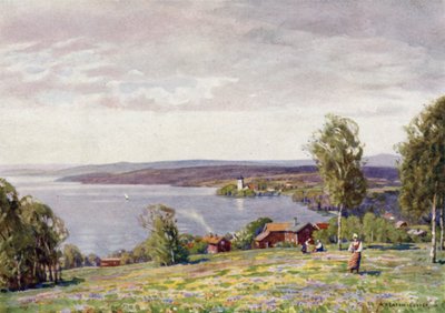 Siljanjärvi tekijältä Alfred Heaton Cooper