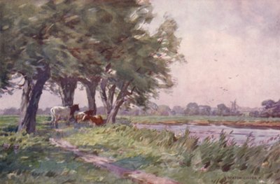 Noonday on the Stour, Suffolk tekijältä Alfred Heaton Cooper