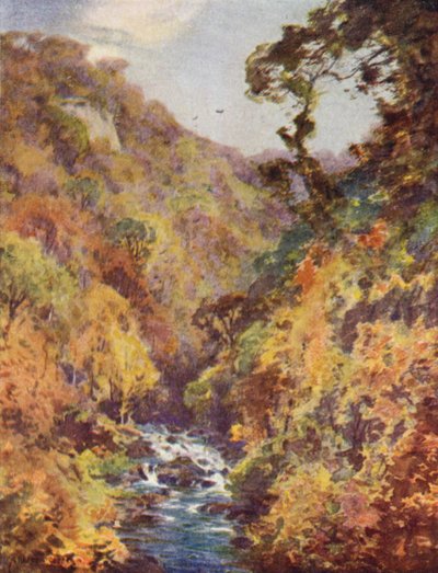 Dargle, Wicklow