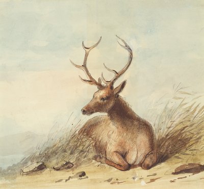 Hirvi, Kalliovuoret, n. 1837 (lyijykynä, kynä ja muste ja akvarelli paperille) tekijältä Alfred Jacob Miller