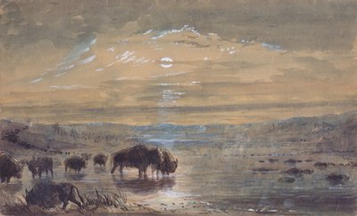 Night Scene, Buffaloes on the Prairie, n.1837 (akvarelli paperille) tekijältä Alfred Jacob Miller