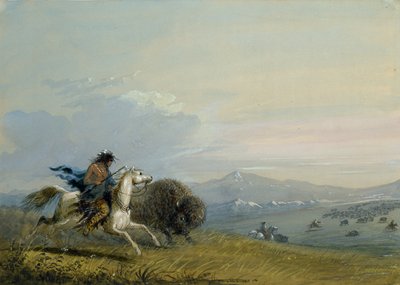 Pawnee-intiaanien juokseva biisoni tekijältä Alfred Jacob Miller
