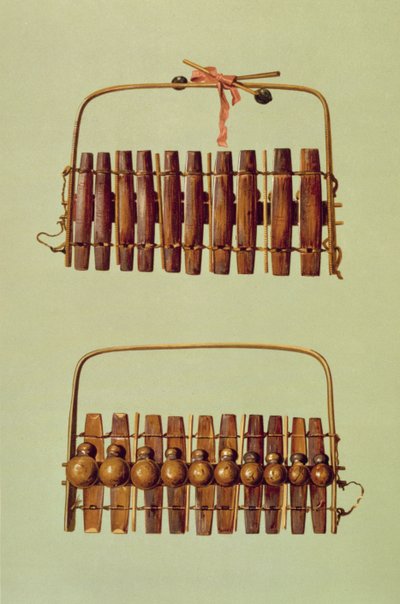 Marimba, näkymä edestä ja takaa, eteläafrikkalainen, kokoelmasta "Musical Instruments" (värillinen lito) tekijältä Alfred James Hipkins