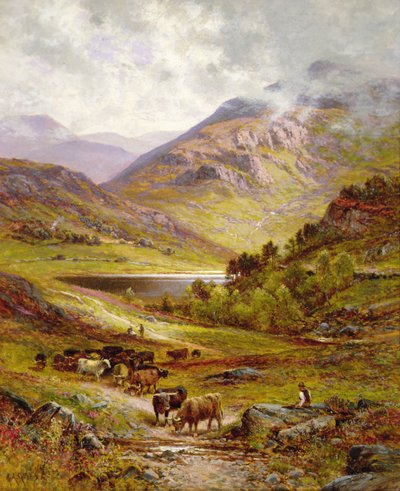 Longhorn-karja vuoristoisessa maisemassa tekijältä Alfred Jr. Glendening