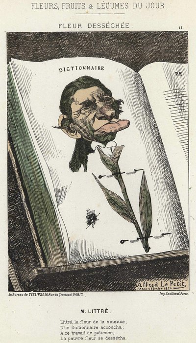 Déséchée-kukka: sarjakuva Littréstä - ill. 1.2.1871 alkaen "Päivän kukat, hedelmät ja vihannekset" tekijältä Alfred Le Petit