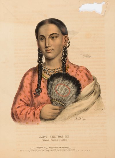 RANT CHE WAI ME. FEMALE FLYING PIGEON., kirjasta History of the Indian Tribes of North America. tekijältä Alfred M. Hoffy