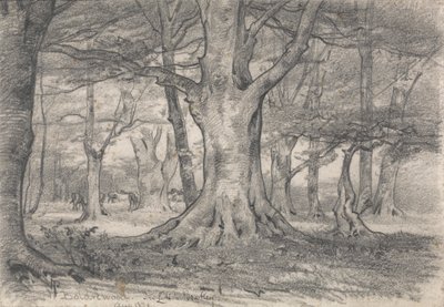 Metsämaisema lähellä Boldrewoodia tekijältä Alfred Parsons