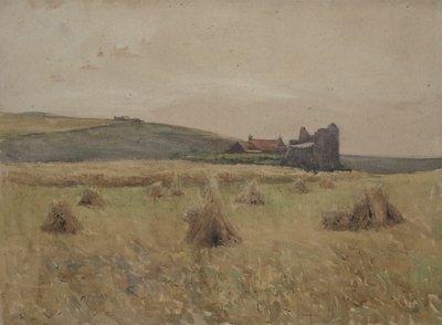 Camp de blat finlandès tekijältä Alfred R. Waud