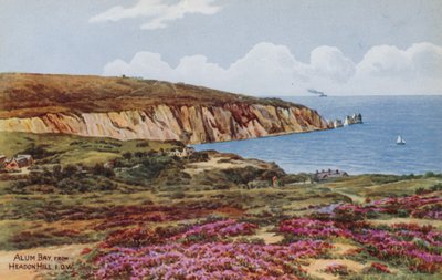 Alum Bay, Headon Hill, IOW tekijältä Alfred Robert Quinton