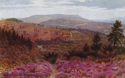 Blackdown alkaen Hindhead tekijältä Alfred Robert Quinton