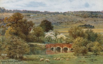 Boxhill Bridge, Dorking tekijältä Alfred Robert Quinton