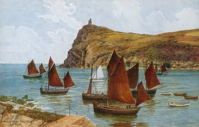Bradda Head, Port Erin, I of Man tekijältä Alfred Robert Quinton