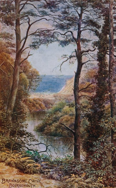 Branksome Chine, Bournemouth tekijältä Alfred Robert Quinton