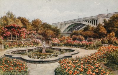 Silta ja Lily Pond, Peasholm, Scarborough tekijältä Alfred Robert Quinton
