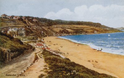 Carbis Bay, St Ives tekijältä Alfred Robert Quinton