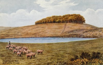 Chanctonbury Ring ja Dew Pond, S Downs tekijältä Alfred Robert Quinton