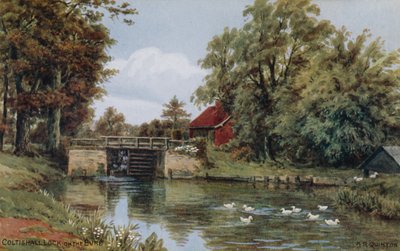Coltishall Lock, Bure tekijältä Alfred Robert Quinton