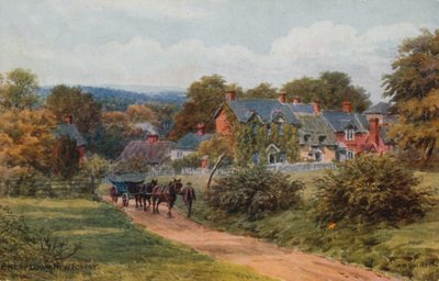 Emery Down, New Forest tekijältä Alfred Robert Quinton