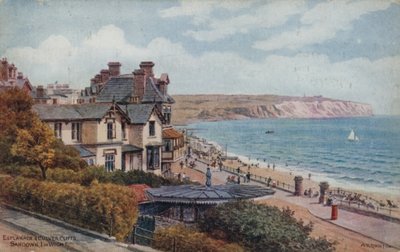 Esplanade ja Culver Cliffs, Sandown, I of Wightin alue tekijältä Alfred Robert Quinton