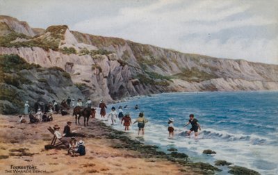 Folkestone, The Warren Beach tekijältä Alfred Robert Quinton