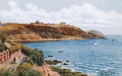 Pendennis Point, Falmouth tekijältä Alfred Robert Quinton