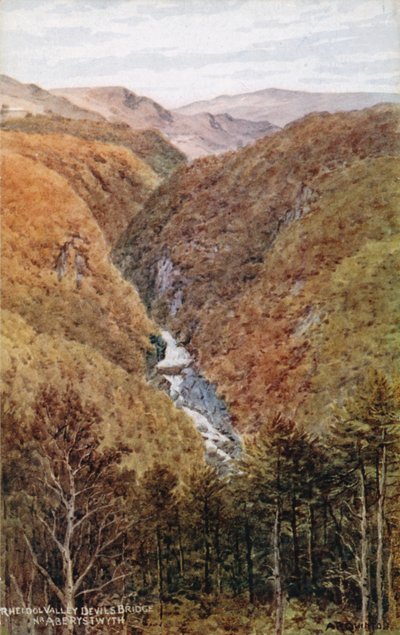Rheidol Valley, Paholaisen silta, Nr. Aberystwyth tekijältä Alfred Robert Quinton