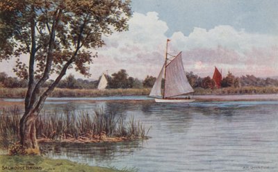 Salhouse Broad tekijältä Alfred Robert Quinton