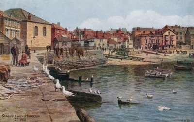 Lokit satamassa, St Ives, Cornwall tekijältä Alfred Robert Quinton