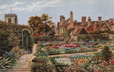 Shakespearen solmupuutarha, New Place, Stratford-on-Avon tekijältä Alfred Robert Quinton