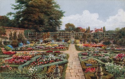 Shakespearen solmupuutarha, New Place, Stratford-on-Avon tekijältä Alfred Robert Quinton