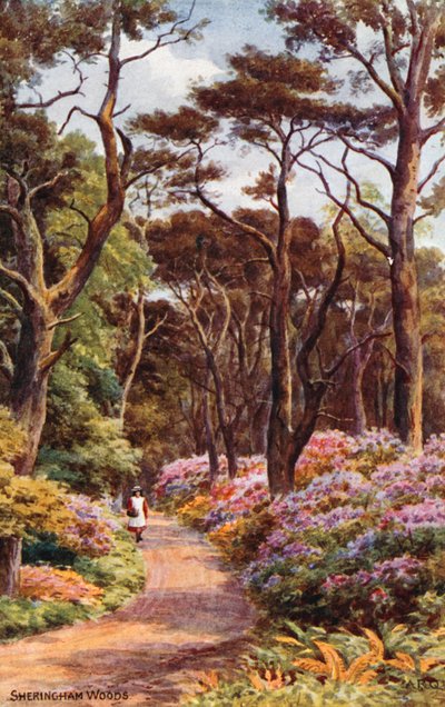Sheringham Woods tekijältä Alfred Robert Quinton