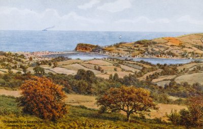 Teignmouth ja Shaldon, Haldon Moorilta tekijältä Alfred Robert Quinton