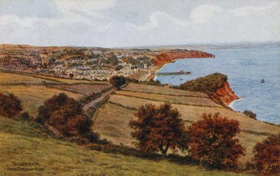 Teignmouth, Torquay Roadilta tekijältä Alfred Robert Quinton