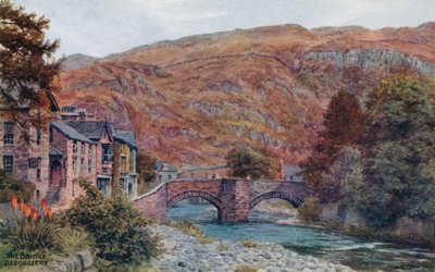 Silta, Beddgelert tekijältä Alfred Robert Quinton
