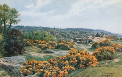 Yhteinen, Tunbridge Wells tekijältä Alfred Robert Quinton