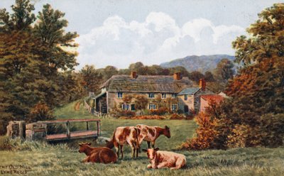 Vanha mylly, Lyme Regis tekijältä Alfred Robert Quinton