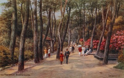 Pine Walk, Bournemouth tekijältä Alfred Robert Quinton