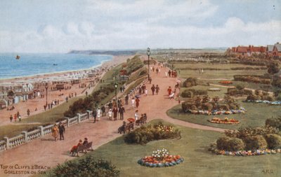 Top of Cliffs and Beach, Gorleston-on-Sea tekijältä Alfred Robert Quinton