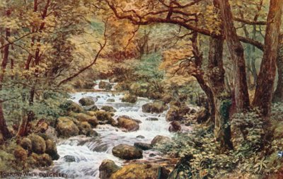 Torrent Walk, Dolgelley tekijältä Alfred Robert Quinton