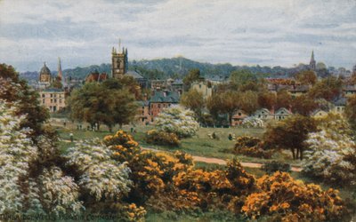 Tunbridge Wells Commonista tekijältä Alfred Robert Quinton