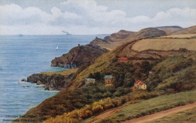 Woody Bay, Martinhoe Commonista tekijältä Alfred Robert Quinton
