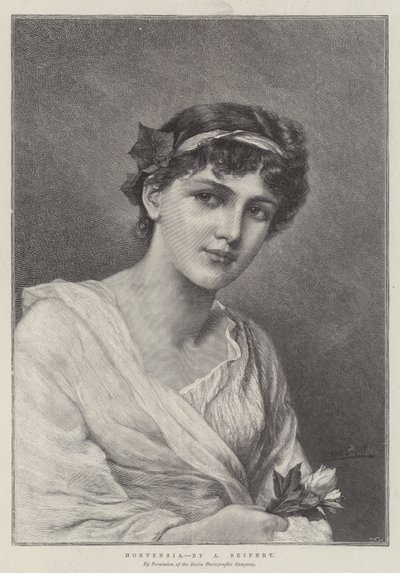Hortensia tekijältä Alfred Seifert