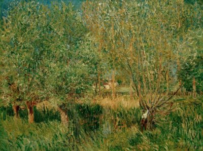 A.Sisley, Weiden am Ufer der Orvanne tekijältä Alfred Sisley