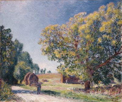 Havainto metsässä, 1895 tekijältä Alfred Sisley