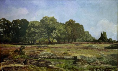 Allée des châtaigniers à La Celle-Saint Cloud tekijältä Alfred Sisley