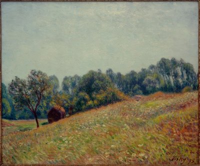 Le Vallon tekijältä Alfred Sisley