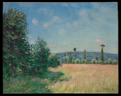 Sahursin niityt aamuauringossa tekijältä Alfred Sisley