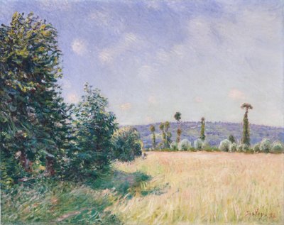 Sahurs Meadows aamuauringossa, 1894. tekijältä Alfred Sisley